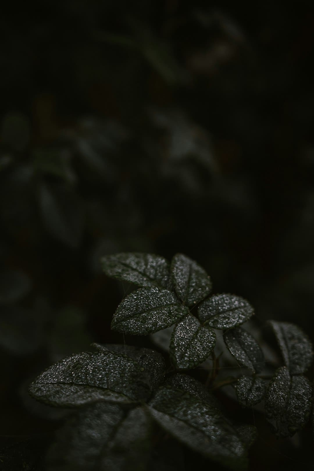 鹿晗拒绝staff帮忙系鞋带 真偶像的风采